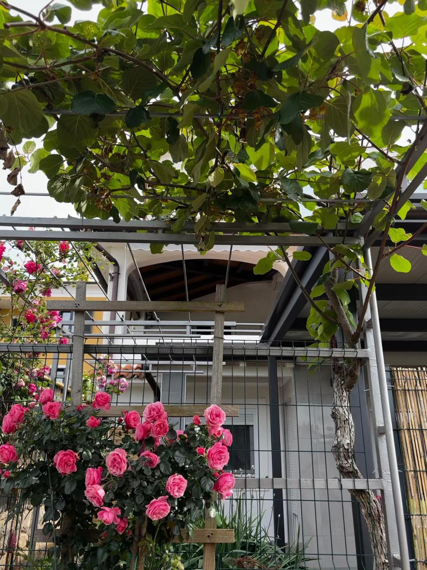 Apartmani Rozi Umag Exterior foto